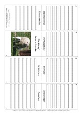 Faltbuch-Moorschnucke.pdf